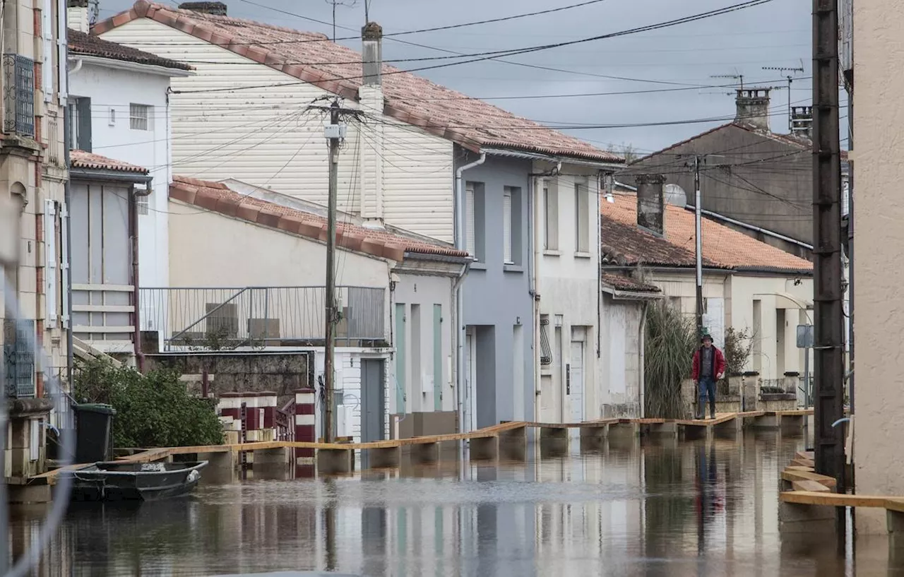 Assurance Habitation : Les Cotisations Explorent en 2025 dans le Sud-Ouest