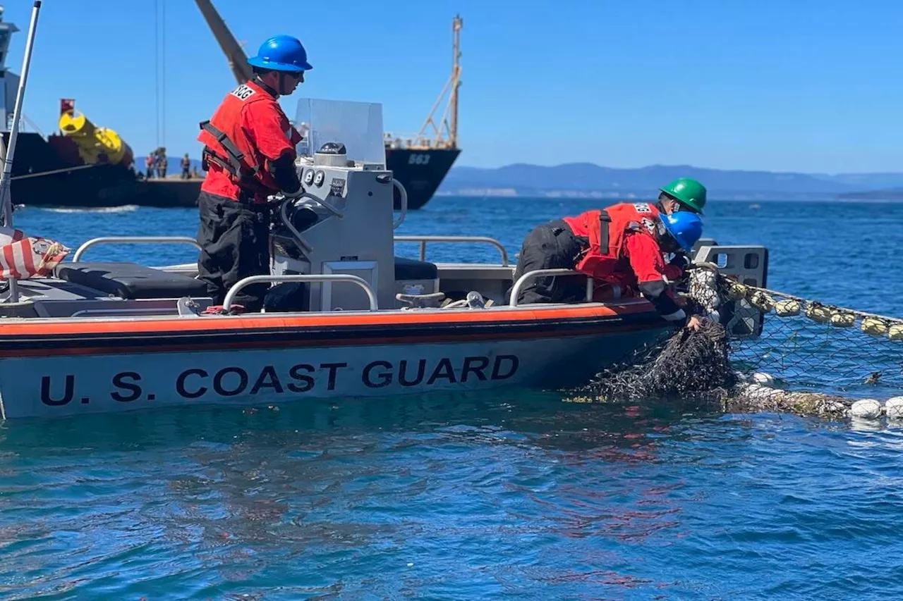 Tragedy Strikes Near San Juan Islands as Sailboat Rescued by Coast Guard, Woman Dies