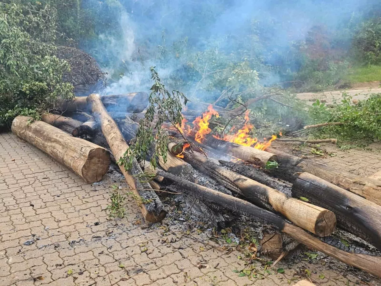 ActionSA Blocked at Lily Mine Commemoration by Burning Logs