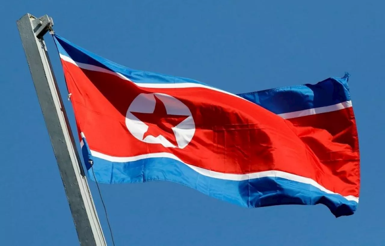 North Korean Troops in Kursk Appear Inactive Since Mid-January