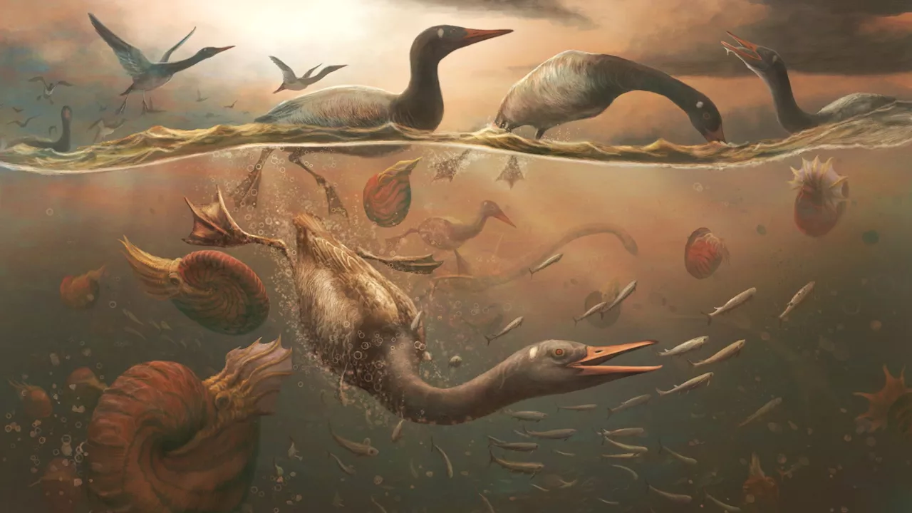 Lost Ancestor of Ducks and Geese Discovered in Ancient Antarctica