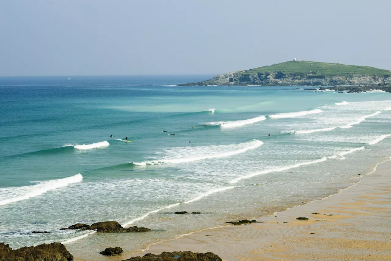 Mystery Illness Causes 'Sudden Dog Deaths' in Newquay Seaside Resort