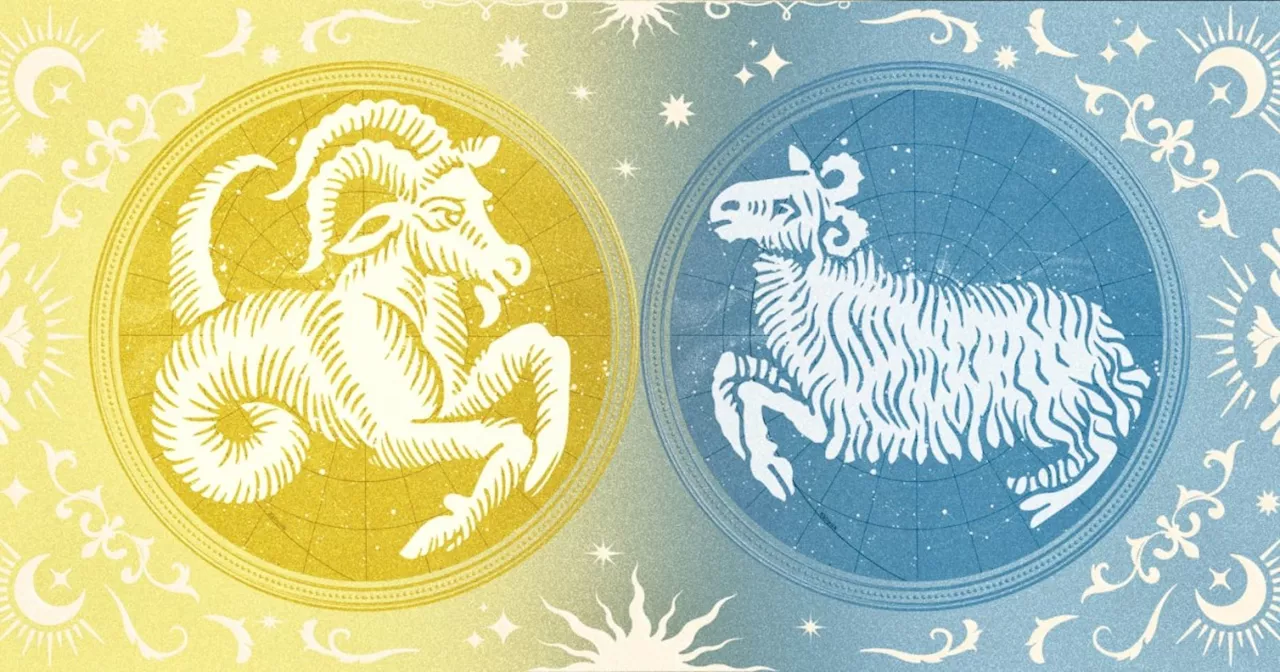 Aries And Capricorn Compatibility: How The Zodiac Signs Connect In Love