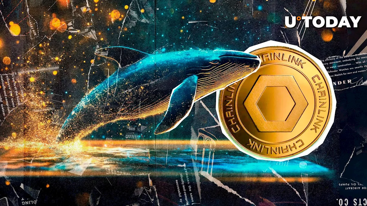 Chainlink Whale Activity Surges to 14-Month High, Fueling Price Expectations