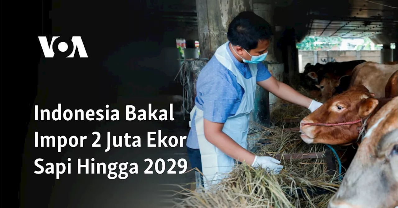 Indonesia Bakal Impor 2 Juta Ekor Sapi Hingga 2029