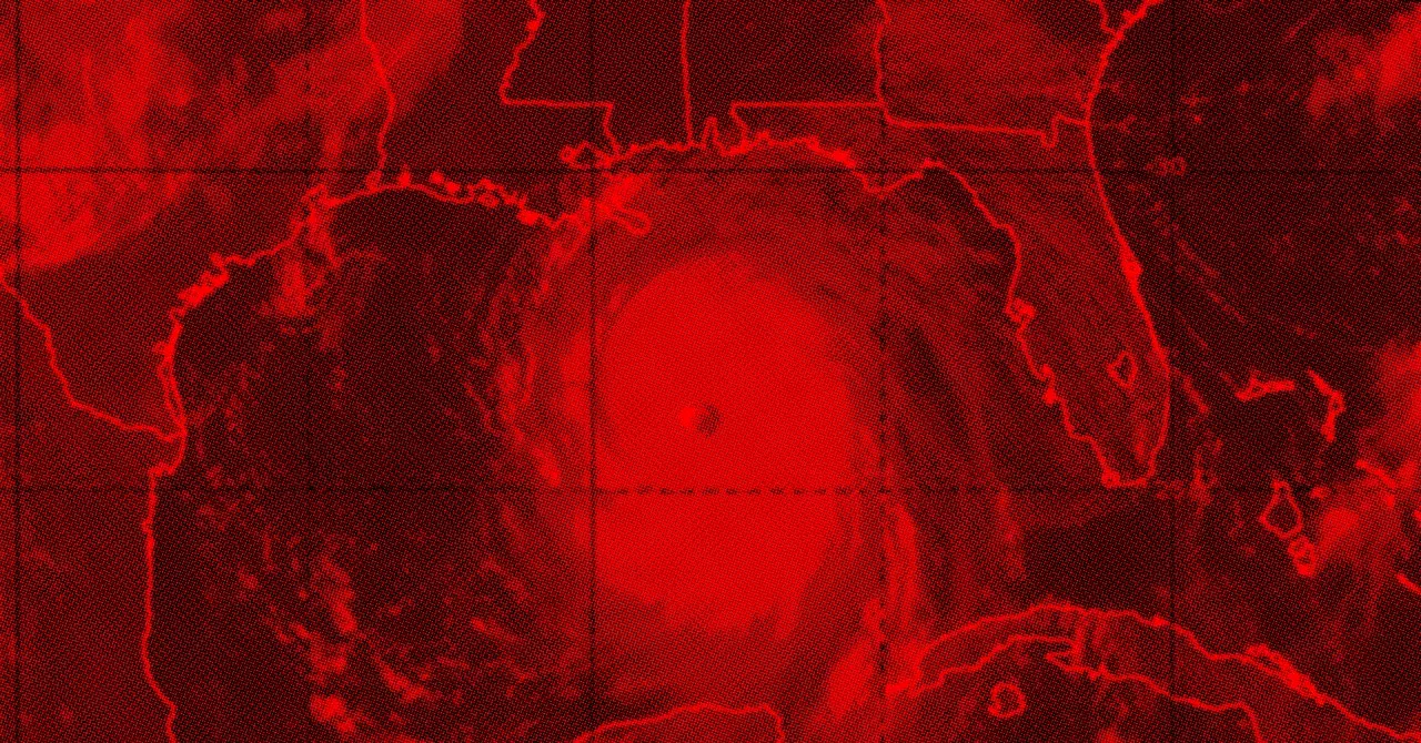 Elon Musk's DOGE Task Force Grants Engineer Access to NOAA Systems