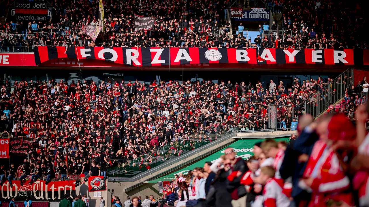 DFB-Pokal-Viertelfinale: Köln - Bayer: Großklub vs. Topklub