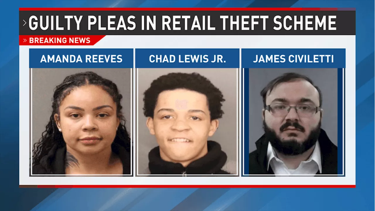 Three Plead Guilty in Rochester Retail Theft Ring