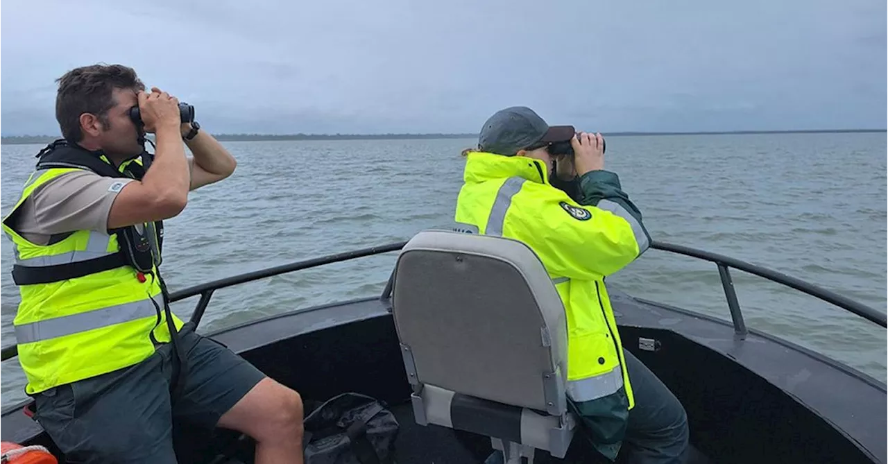 Crocodile Spotted Far South of Usual Range in Queensland