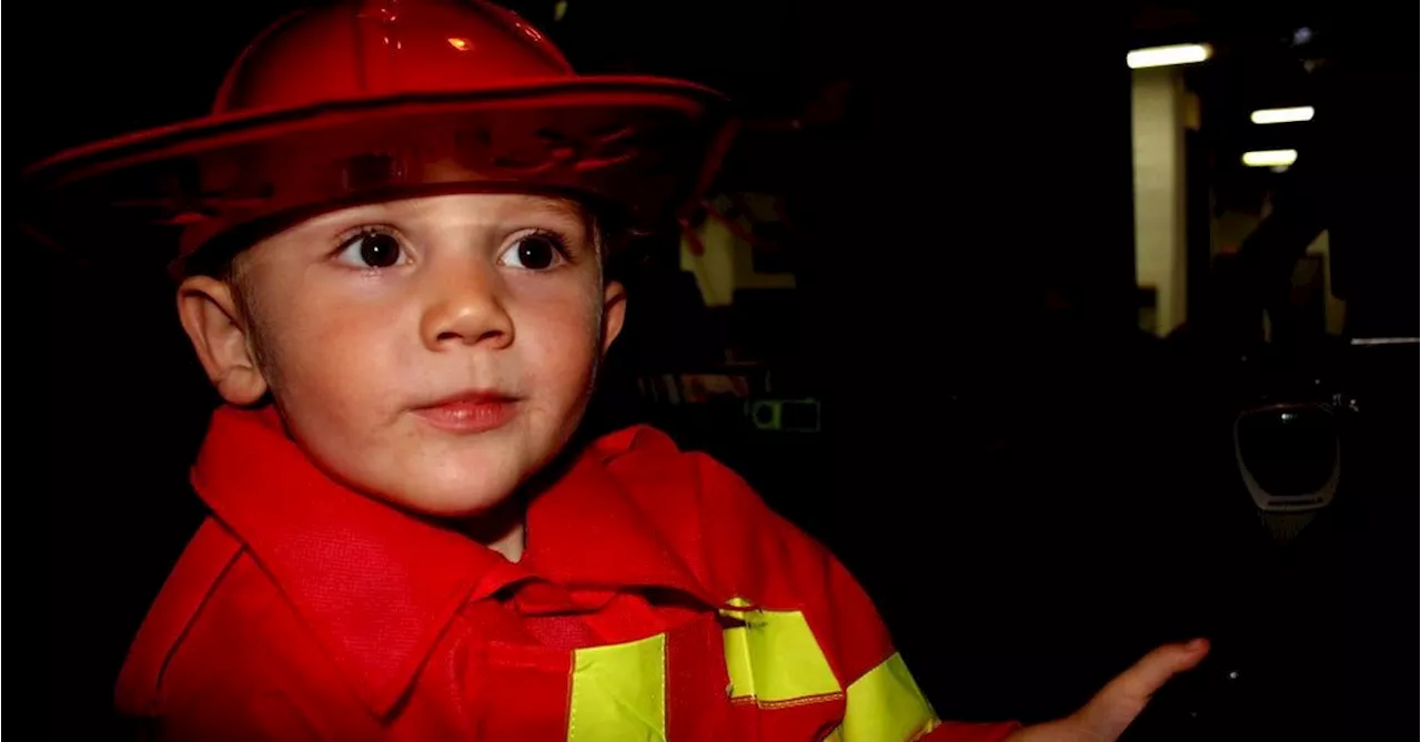 William Tyrrell Inquest Nears Conclusion