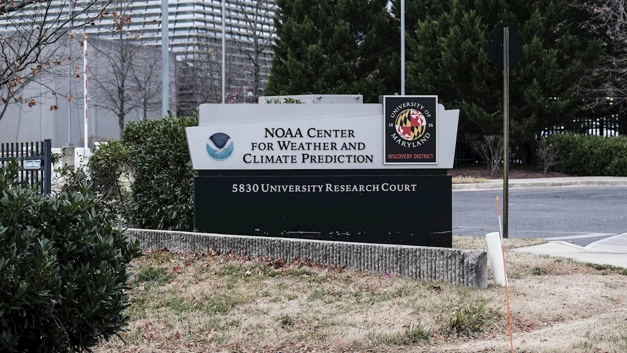 DOGE now has access to NOAA's IT systems; reviewing DEI program, sources say