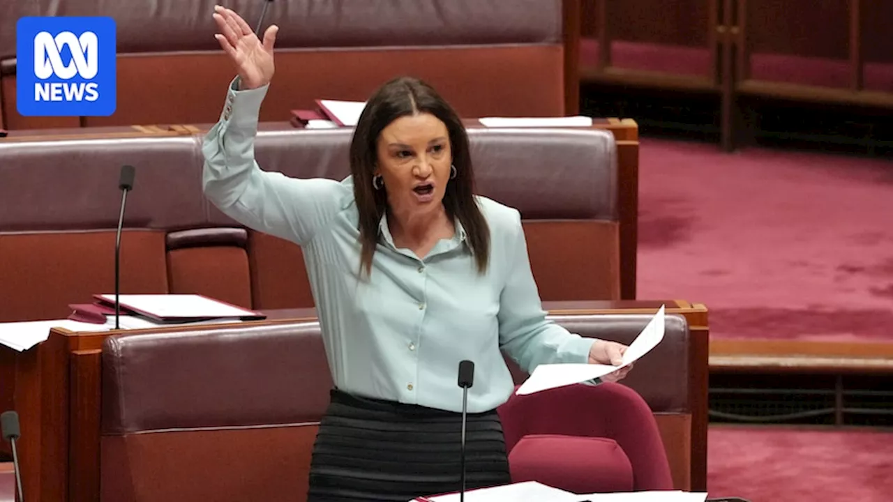 Senator Lambie Exposes Unfair Dismissal Claim, Criticizes Workplace Laws