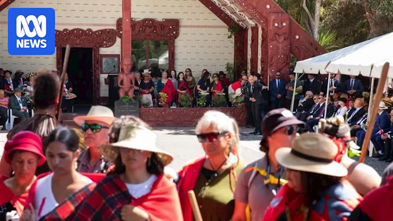 Waitangi Day in New Zealand overshadowed by treaty controversy