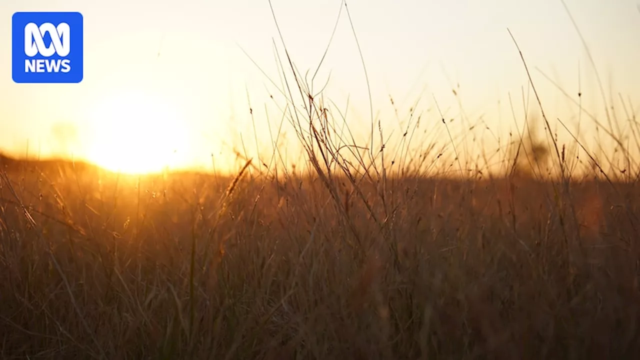 Western Australia's Pilbara and Gascoyne Scorched by Persistent Heatwave