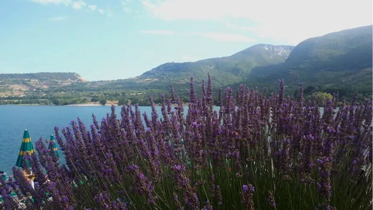 Abruzzo Approva Piano Nazionale per il Parco d'Abruzzo, Lazio e Molise