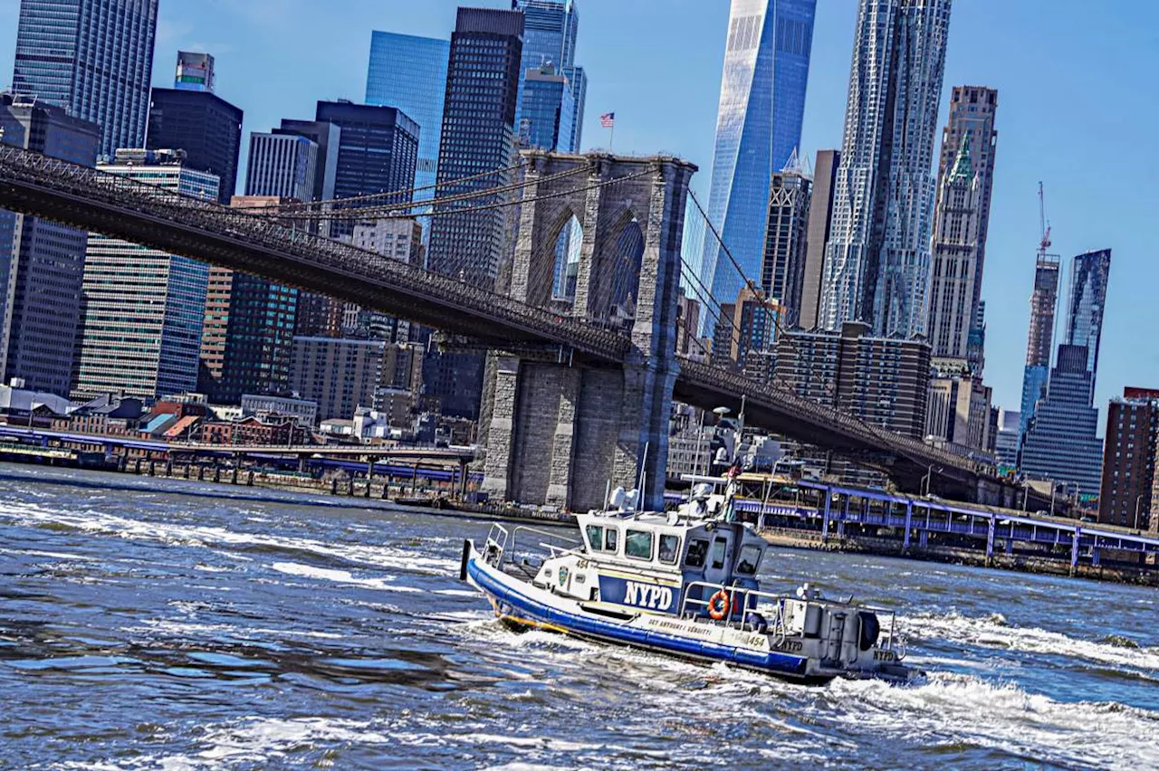 Human torso found floating in the East River inside a suitcase: sources