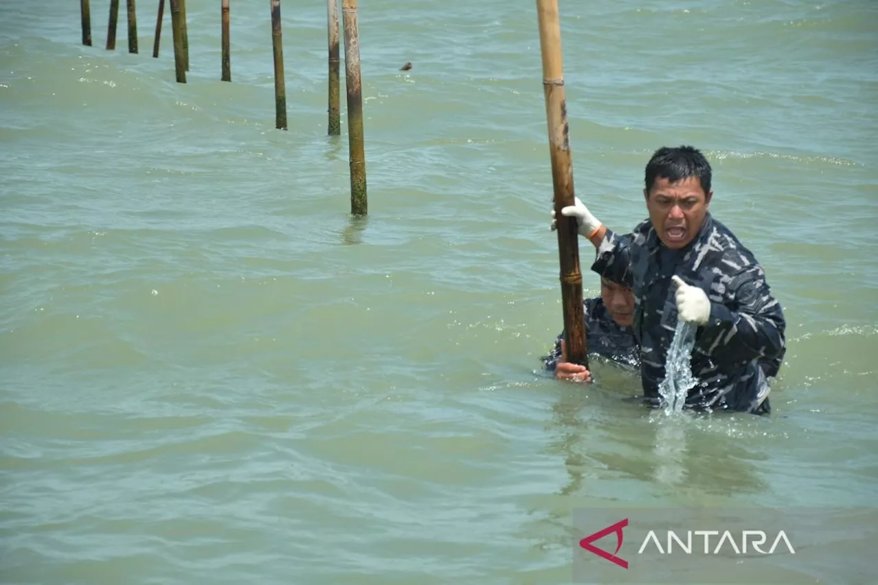 TNI AL Bongkar Pagar Laut 22,5 Km di Banten