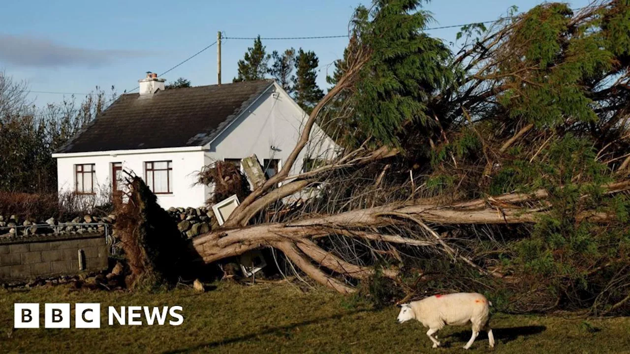 Storm Éowyn Brings Record-Breaking Winds and Disruptions to Ireland