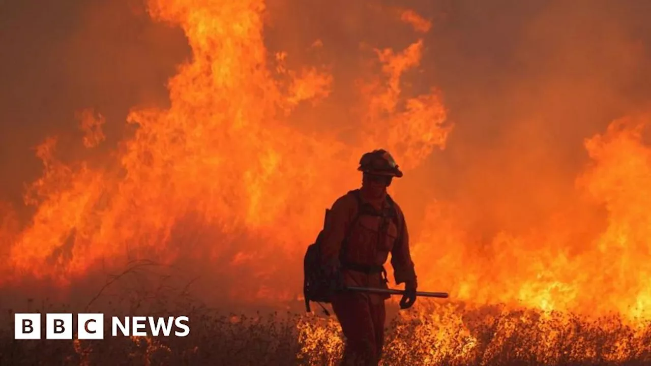 Record-Breaking January Raises Climate Change Concerns