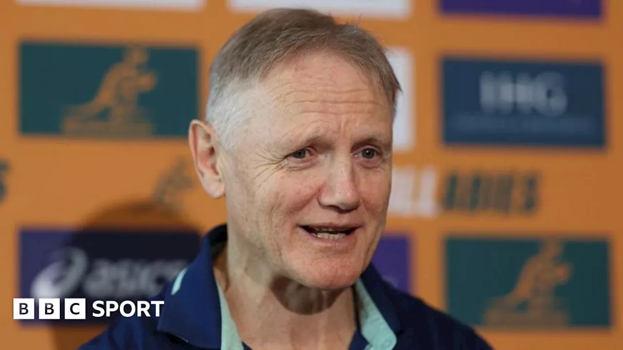 Joe Schmidt to leave Australia head coach role after Rugby Championship