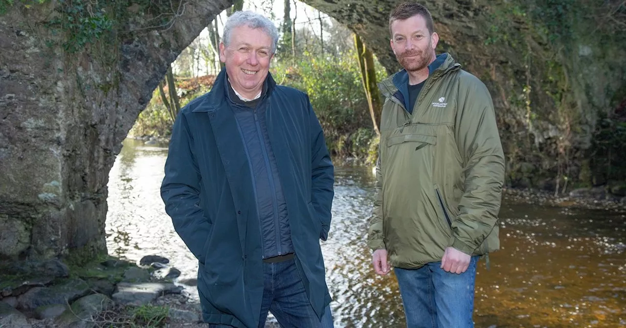 Mourne Park in Northern Ireland Receives £2.5 Million Grant to Restore Ancient Woodland