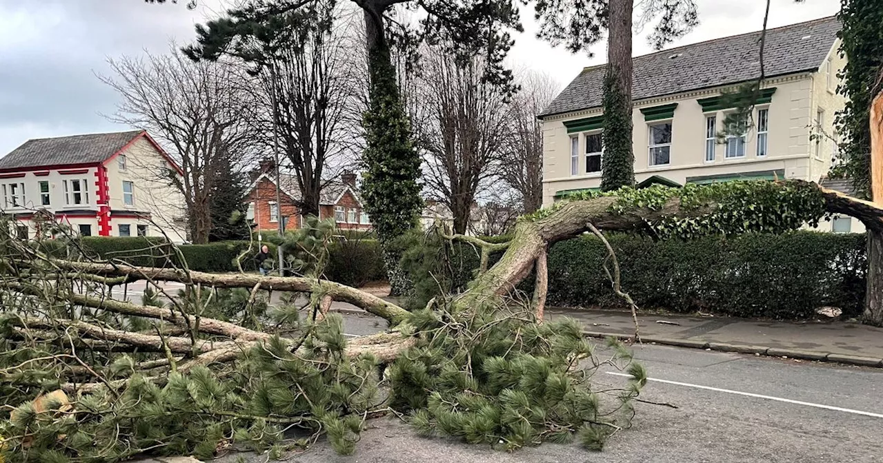 Stormont Executive Allocates £17 Million to Repair Storm Eowyn Damage