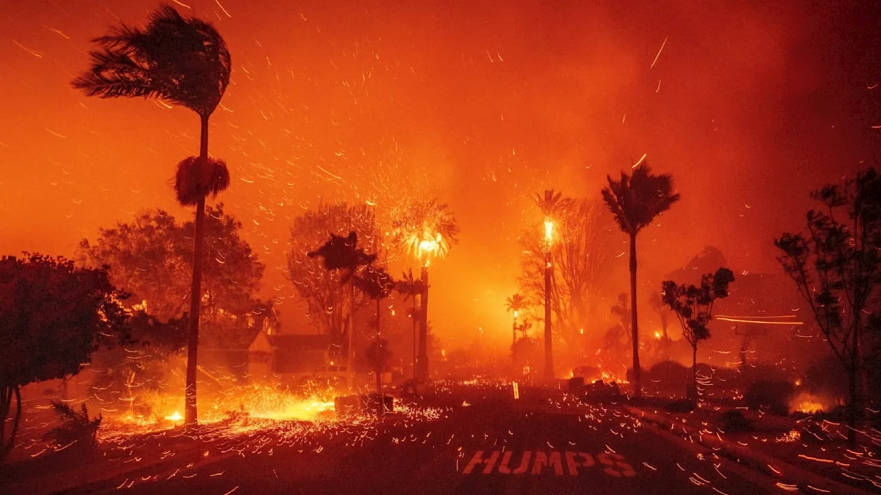 Energieversorger prüft: Lösten defekte Leitungen die Feuer von Los Angeles aus?