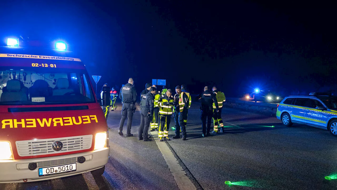 Polizeieinsatz auf A1 und A20: Wildschwein-Alarm auf der Autobahn!