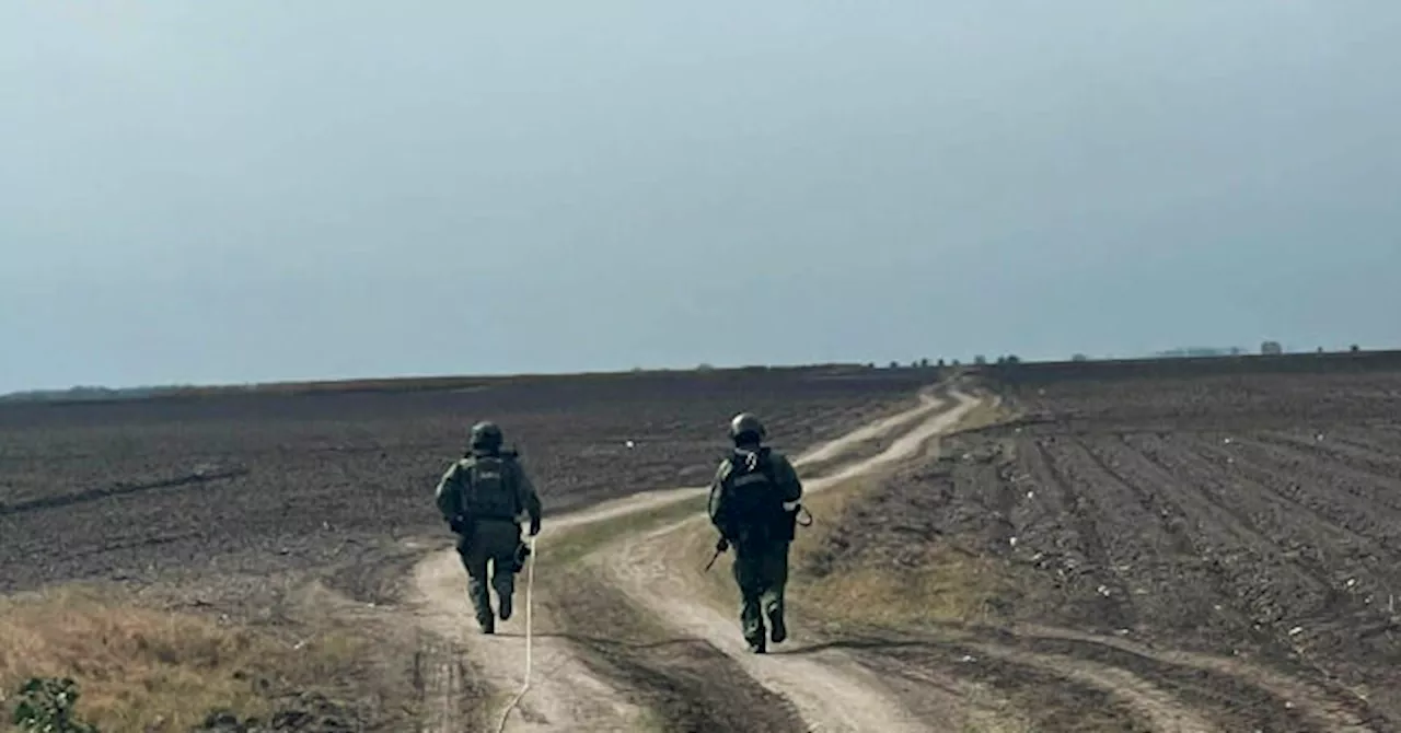 Cartels Continue Using Deadly Landmines in Tamaulipas Turf War