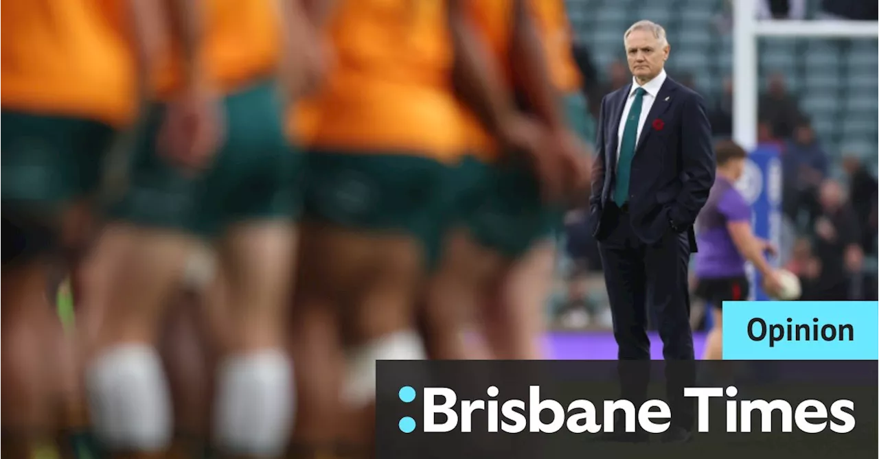 Wallabies Coach Joe Schmidt to Depart After Lions Tour