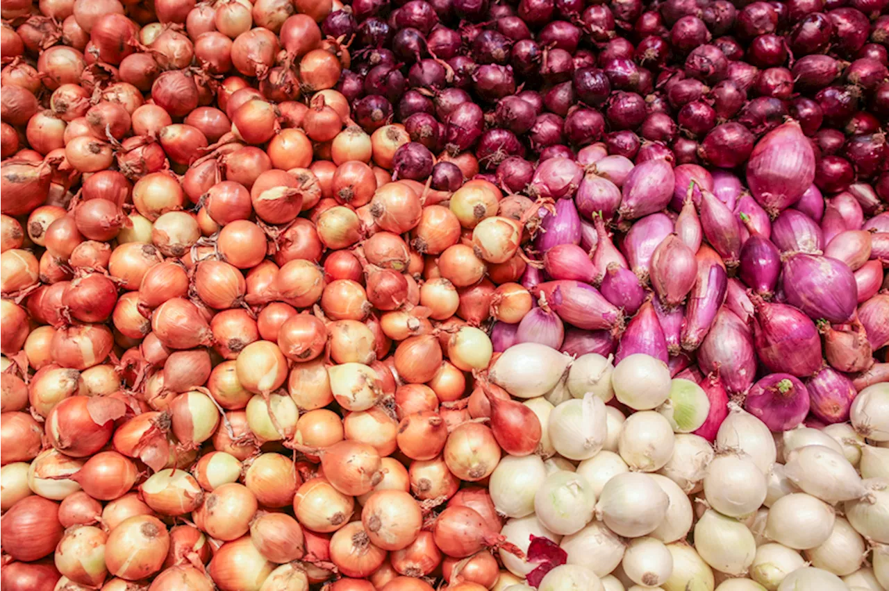 Philippines to Import Onions to Prevent Price Hikes and Supply Gaps