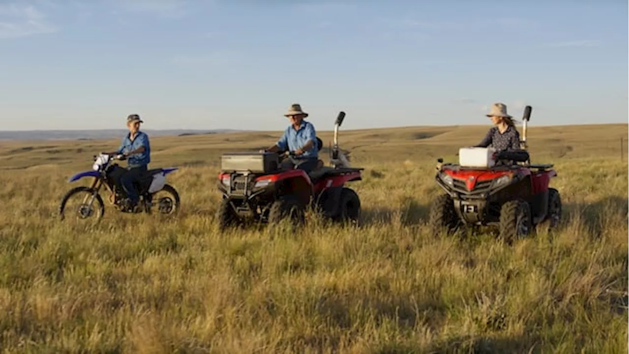 Australian Farmer's Sustainable Practices Revitalize Land and Wildlife