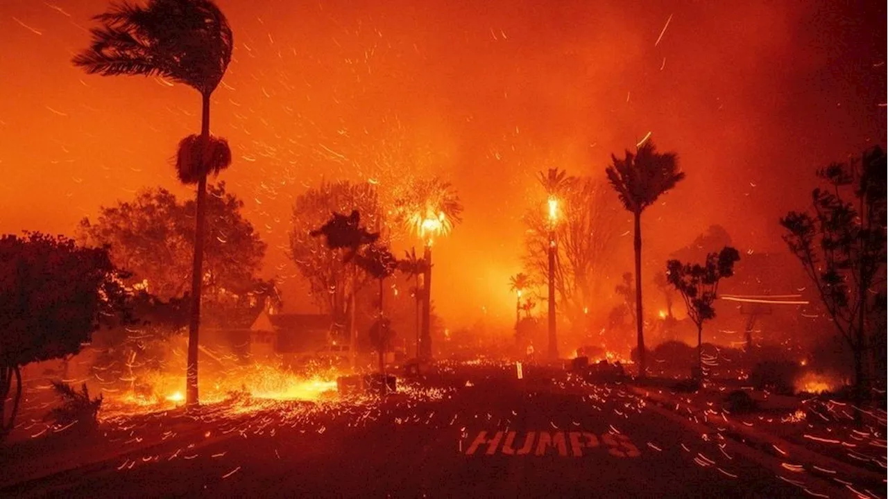 California Wildfires Spark Debate Over State Regulations and Disaster Relief