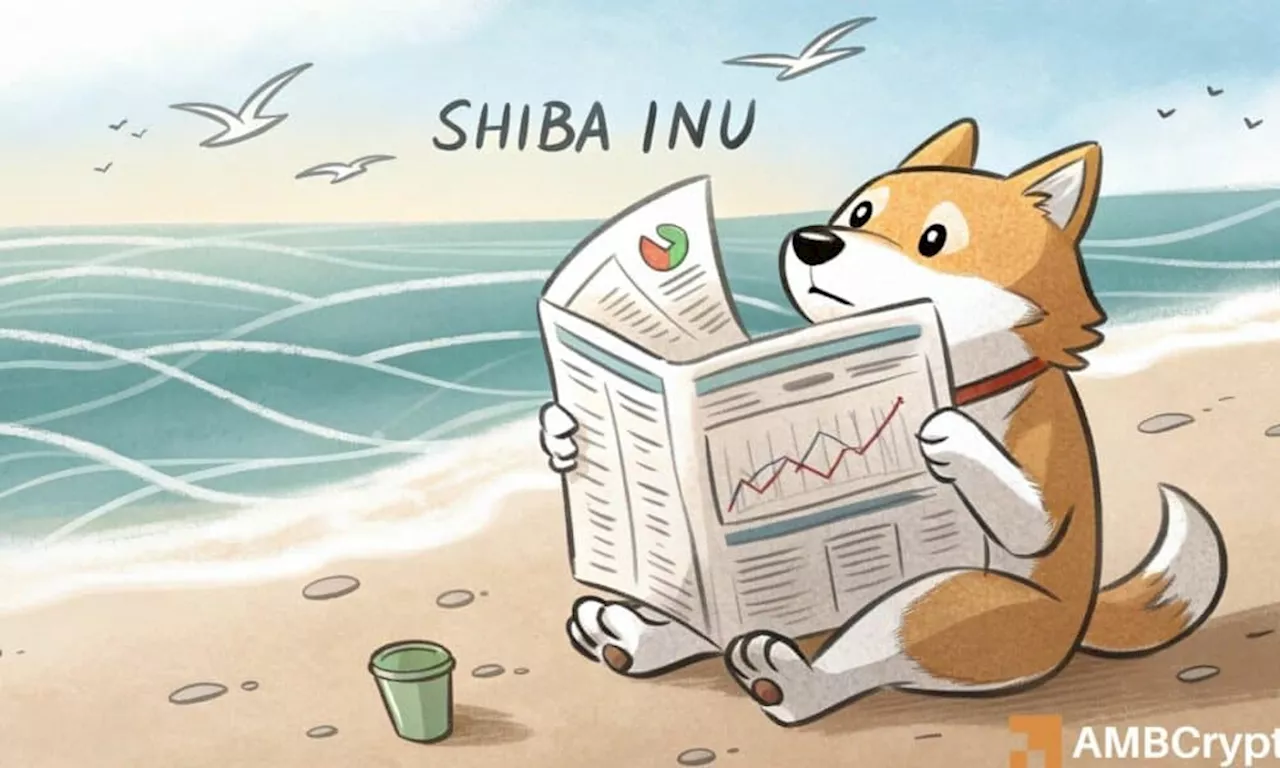 Shiba Inu Shows Signs of Accumulation Despite Short-Term Volatility