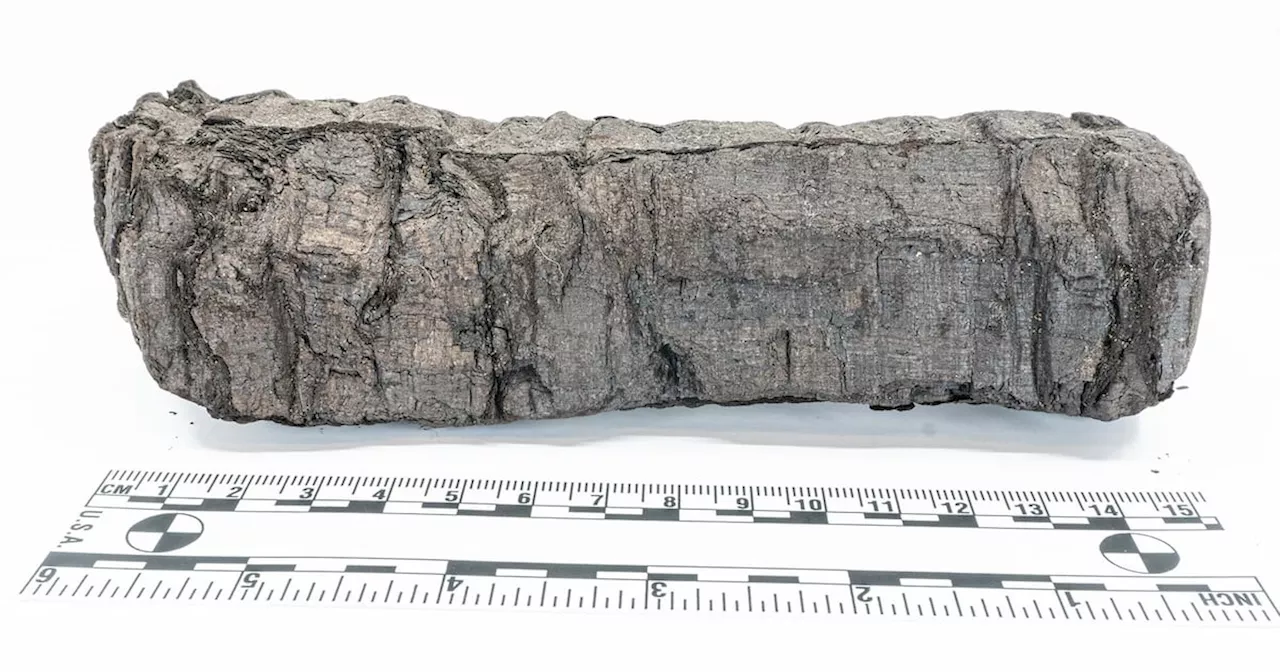 Burned Scroll from Mount Vesuvius Eruption Virtually Unrolled