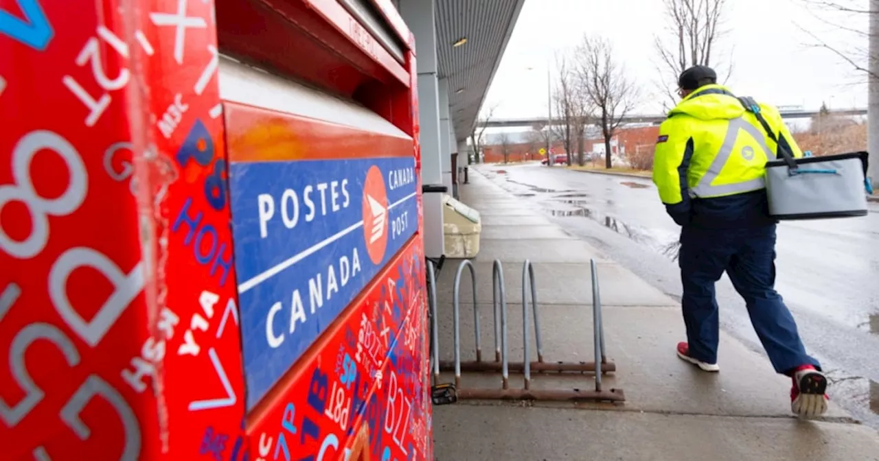 CTV News Toronto Investigates Letter Delivery Delays and More