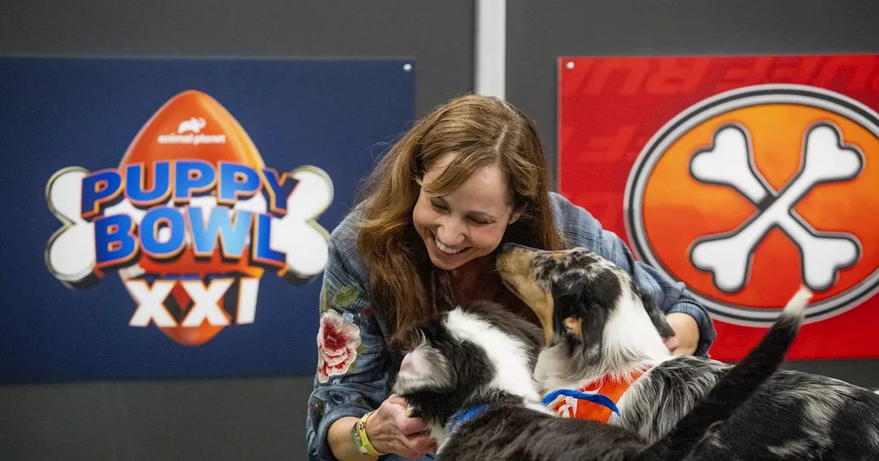 Meet the woman keeping the adorable pups happy at this year's 'Puppy Bowl'