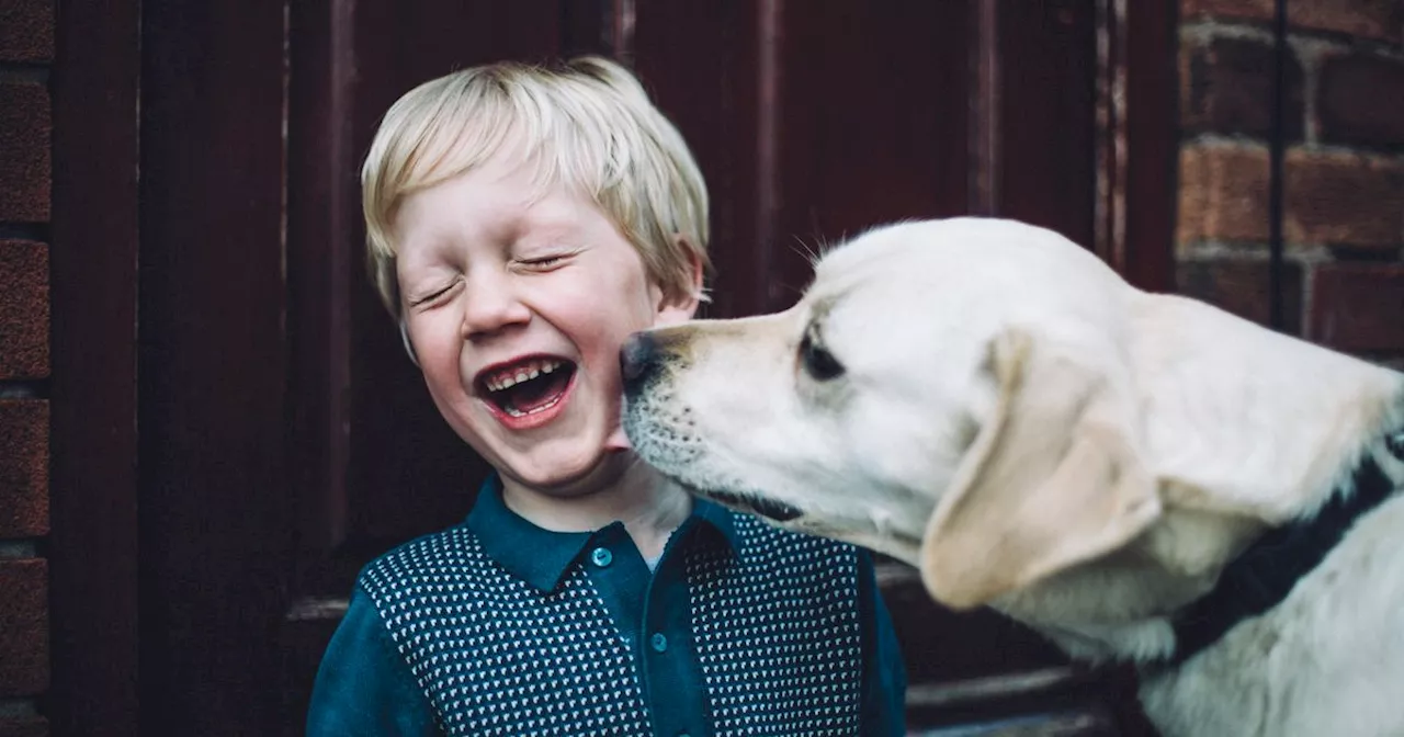 3 Dog Breeds Experts Say to Avoid If You Have Children