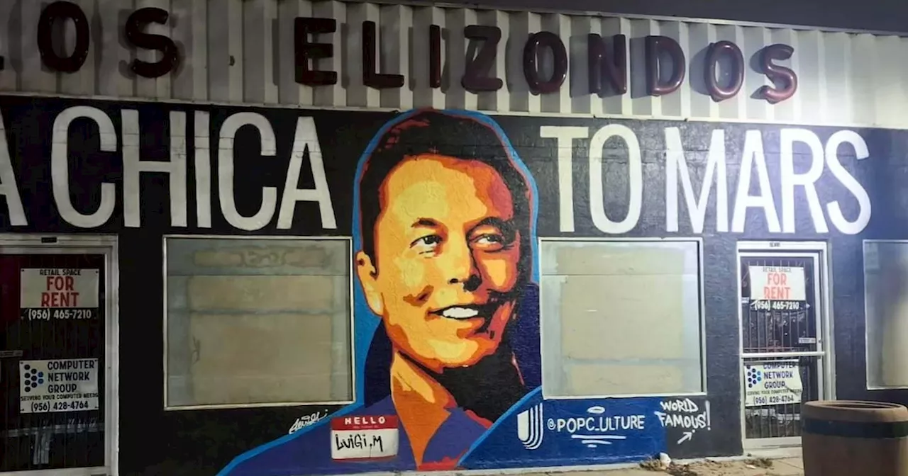 ‘Deny, defend, depose’: Elon Musk mural in Texas is vandalized