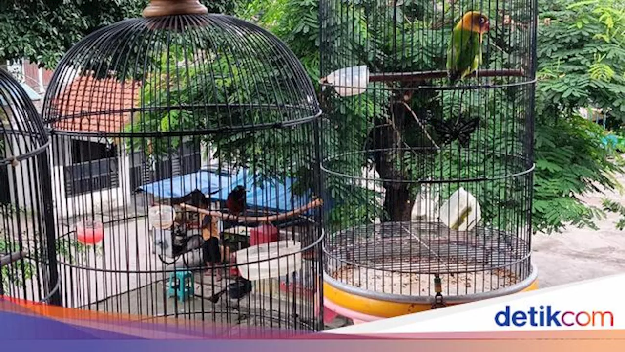 Harga Burung Hias di Pasar Pramuka Jakarta Timur: Beragam dan Bisa Jadi Miliar