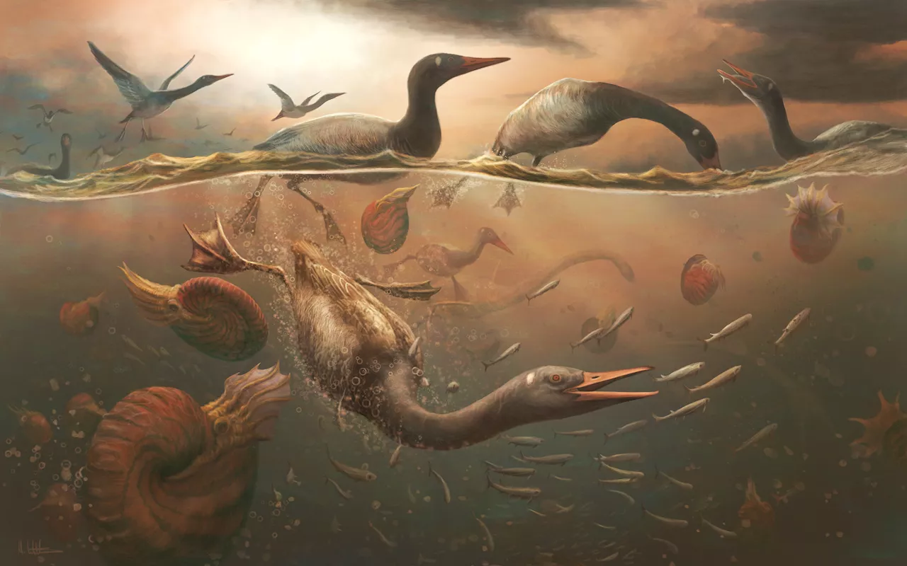 Vegavis iaai: An Ancient Ancestor of Modern Ducks