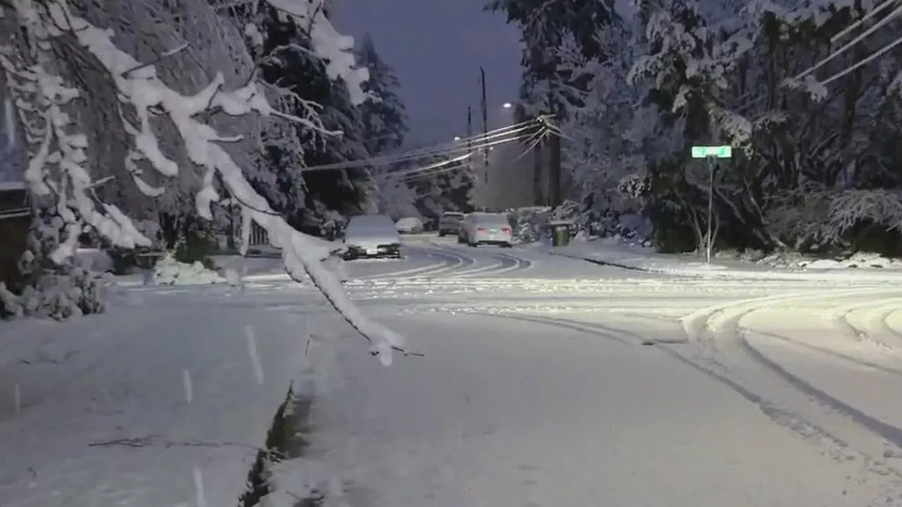 Thousands in Western Washington Experience Power Outages Amid Winter Storm