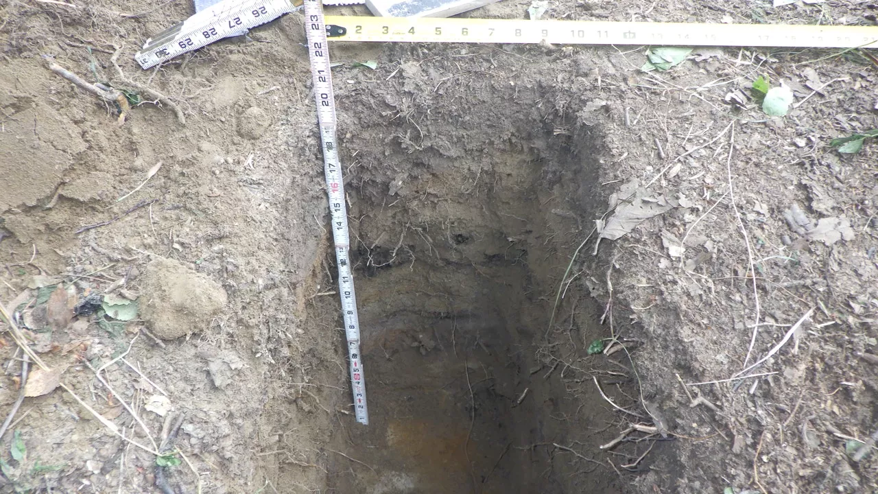 1,000-Year-Old Cache Pit Unearthed in Alaska, Providing Glimpse into Past Food Storage Practices