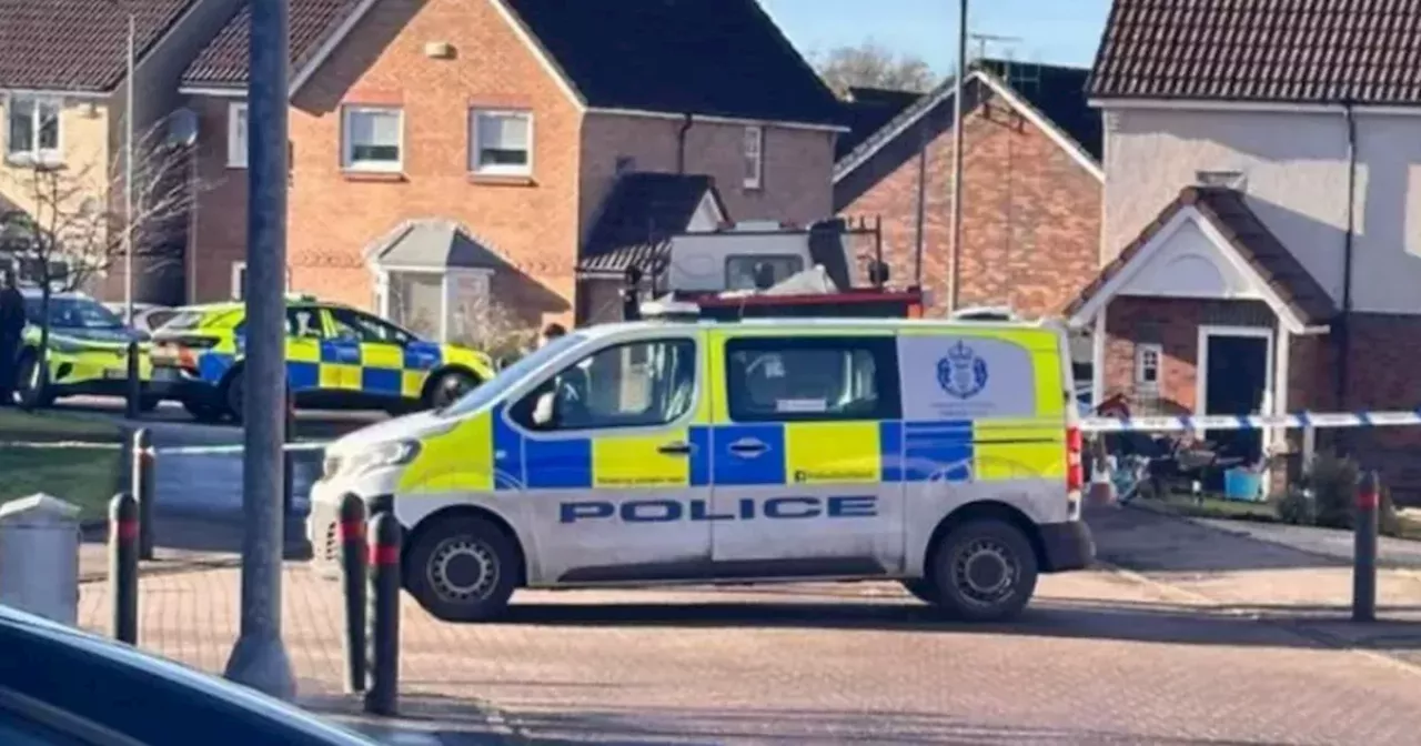 Two vehicles crash in East Kilbride as police rush to scene after disturbance