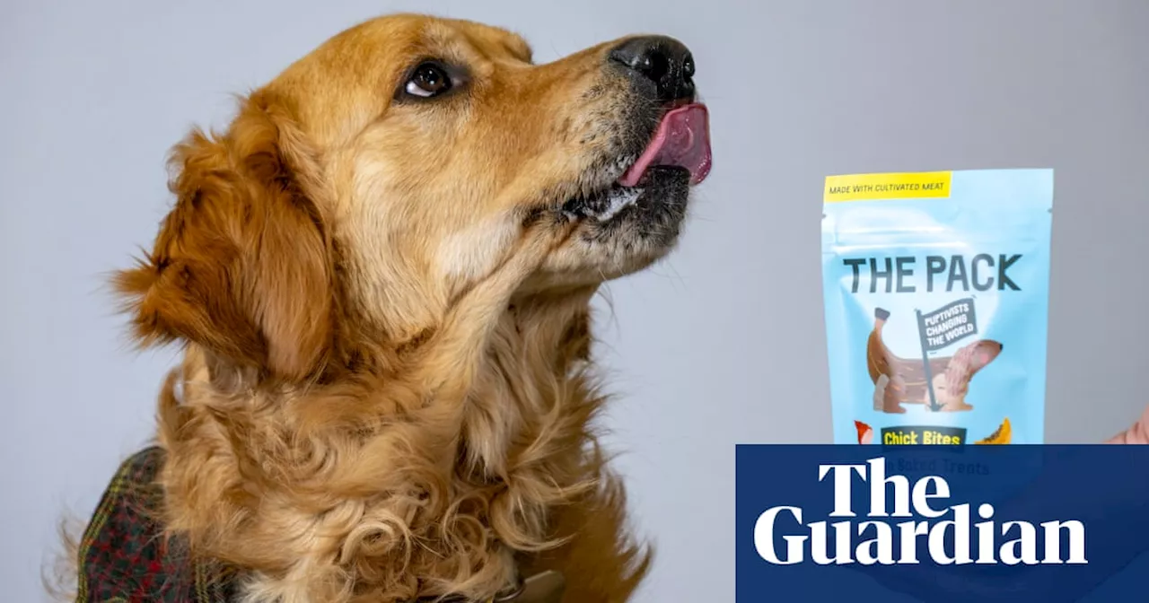 Pets at Home Sells World's First Cultivated Meat Dog Treats