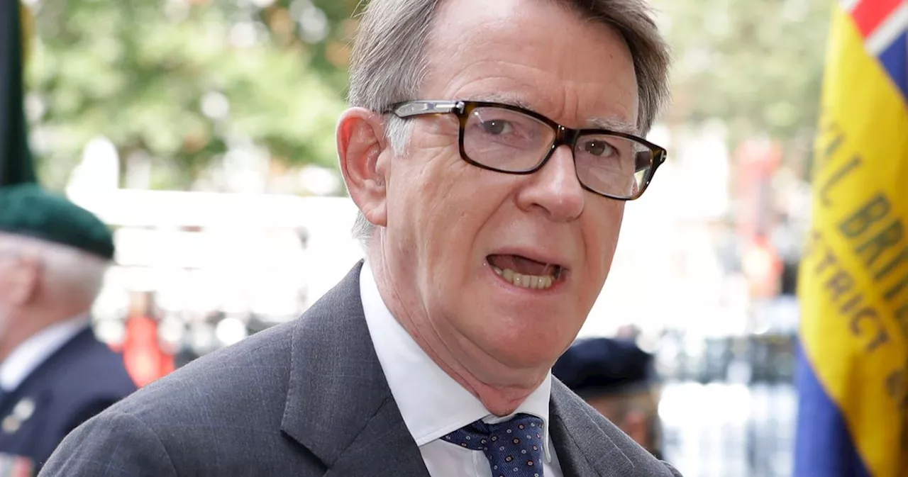 New US Ambassador Peter Mandelson Tells Reporter To 'F*** Off' When Pressed Over Epstein Links