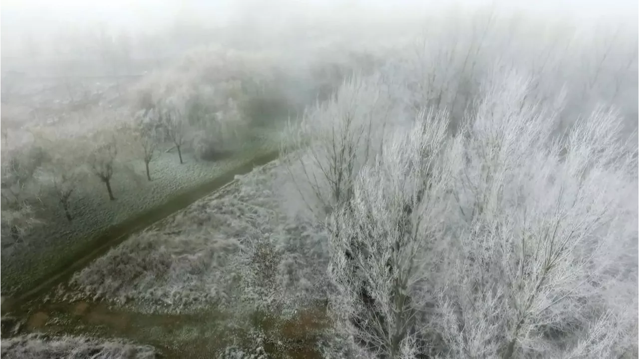 El Invierno en Salamanca: Un Cielo de Escarcha y Previsiones de Nieve