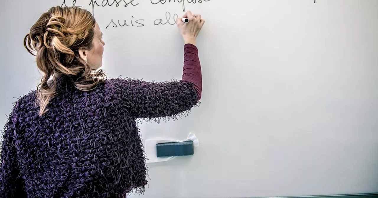 Foreign Languages to be Introduced in Irish Primary Schools from 2026