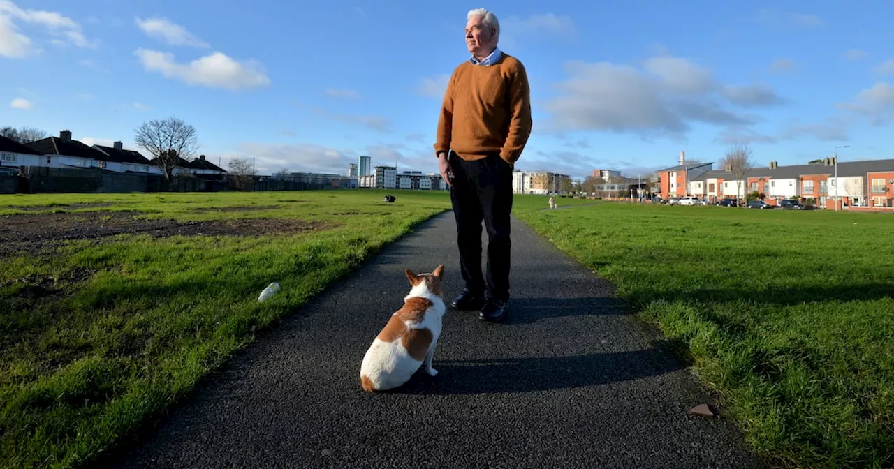 Peter McVerry Steps Down From Charity Role Amid Governance Scrutiny