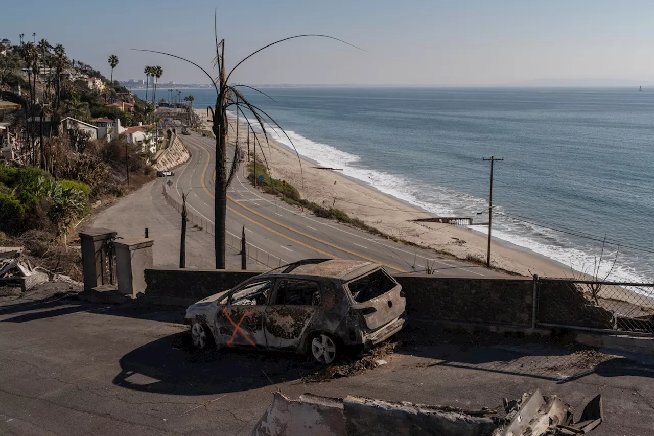 Pacific Palisades: Riqueza e Poder Moldam a Reconstrução Após Incêndios Devastad ores